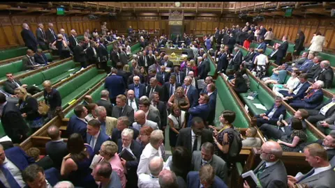 House of Commons MPs voting
