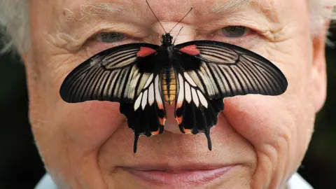 PA Butterfly Conservation President Sir David Attenborough