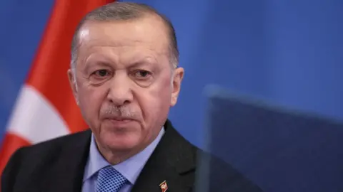 Getty Images President Erdogan of Turkey