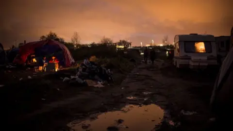 Getty Images Dusk in the Jungle