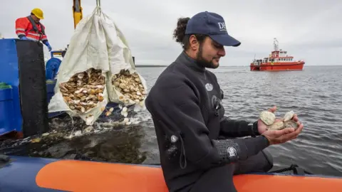 Glenmorangie Team member with oysters