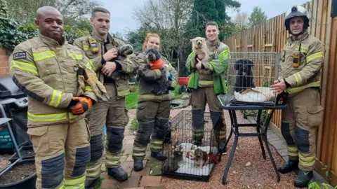 Dogs rescued by firefighters