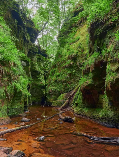 Getty Images/Jens Otte A shallow section of river with a narrow vegetation clad gorge in the background