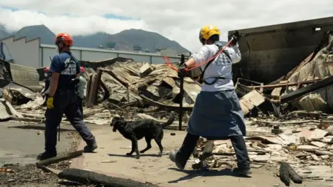 Reuters Emergency workers search through destroyed neighbourhoods in the Maui city of Lahaina, Hawaii