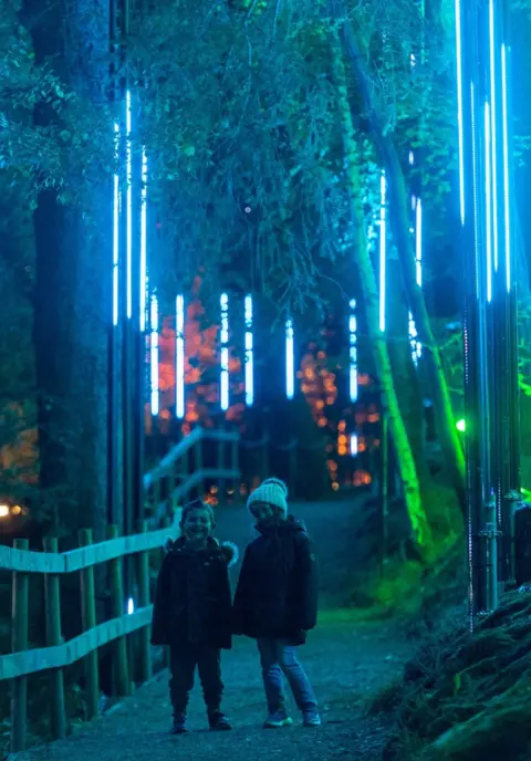 Enchanted Forest Enchanted Forest