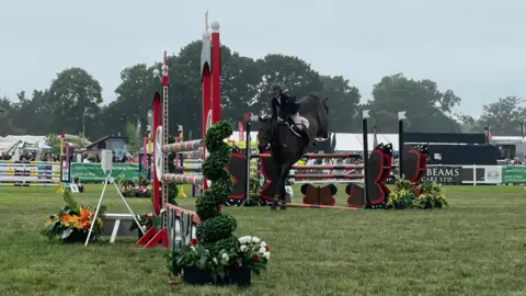 A horse showjumping at the New Forest County Show.