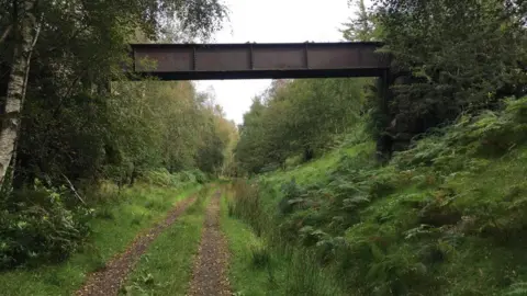 Colin Davidson A leafy track which was a railway line with a bridge above