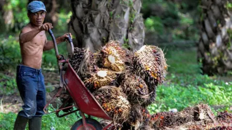 Getty Images A worker in Indonesia tipping palm oil fruits into a pile