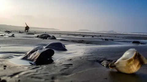 Ashley Williams Rhossili, Gower