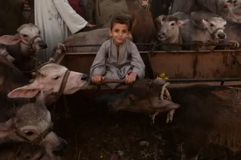 AFP Ashmun market in Egypt's Menufia Governorate on 15 August 2018