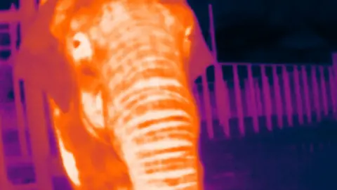 ZSL Thermal image