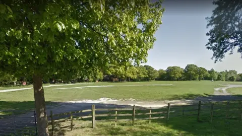 Google South Common, Lincoln