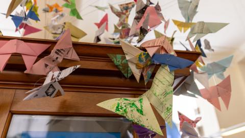 Paper butterflies on display in a museum