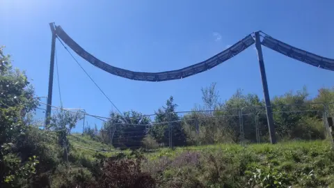 Nick Horton Dormice bridge