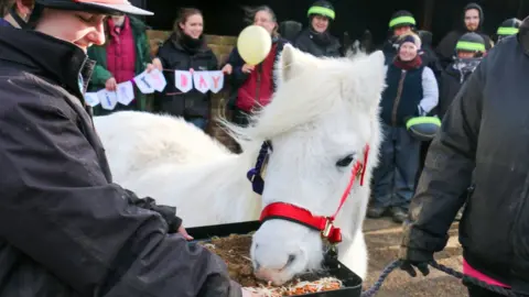 Redwings Horse Sanctuary Willow celebrating its 45th birthday