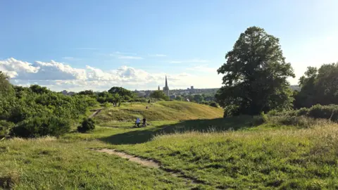 Paul Moseley/BBC A wide view of grassy heathland with footpaths, benches, and scattered trees. People sit and walk in the distance. A city skyline with a prominent cathedral spire is visible on the horizon under a bright, clear sky.