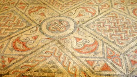 North Leigh Roman Villa Volunteers  Surviving mosaic