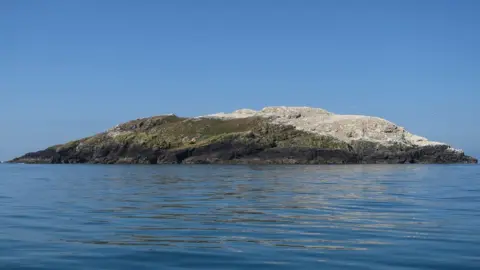 Hugh Venables /Geograph Grassholm