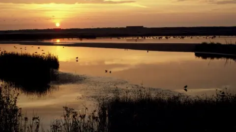 Mike Read RSPB Minsmere at sunset