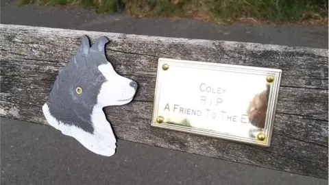 Lesley Owen A temporary plaque has been left in Coley's honour
