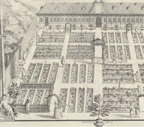 Getty Images The Hortus Botanicus of Leiden University, The Netherlands, planted by Carolus Clusius