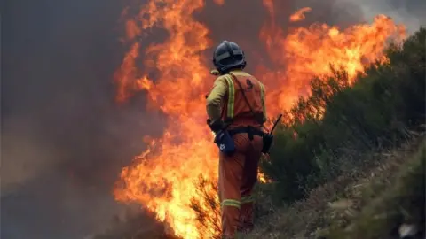 EPA A fireman works to extinguish a forest fire in Oviedo, Asturias, northern Spain 16/10/2017