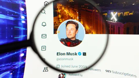 Elon Musk's official profile on the social network X.