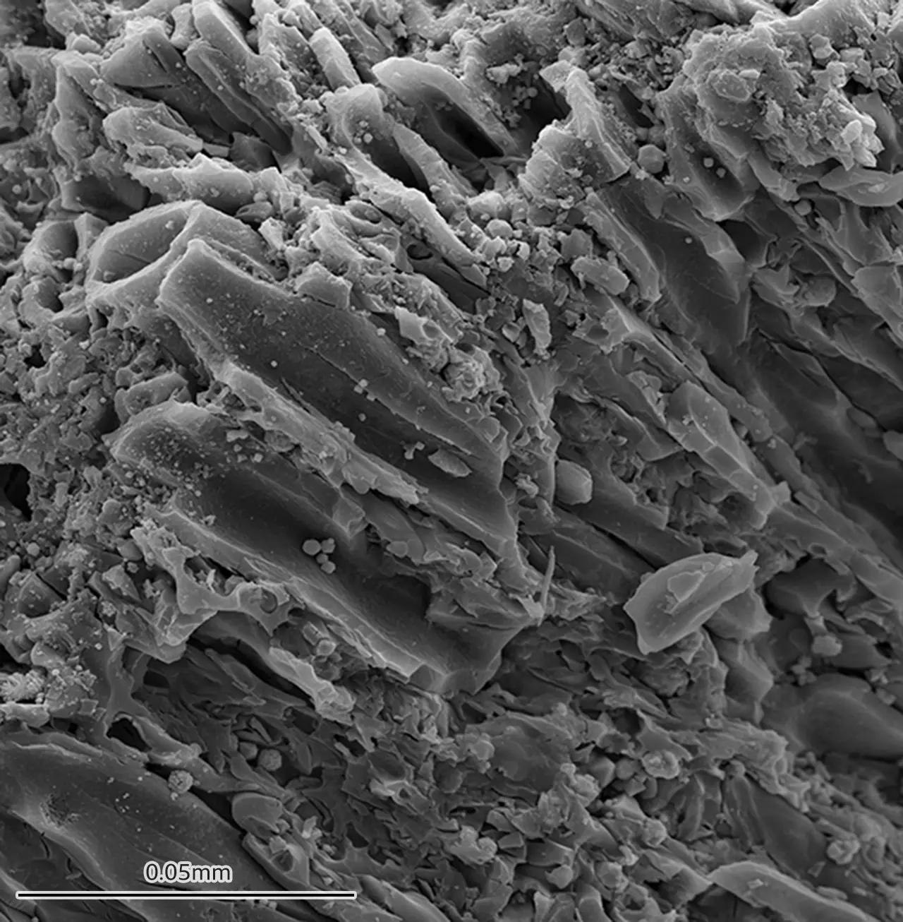 Ian Glasspool Structure