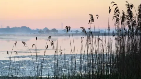 National Trust Wicken Fen