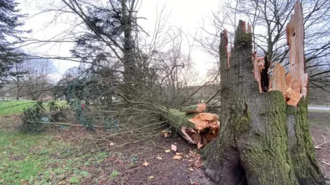 National Trust – Gareth Jones Clumber Park