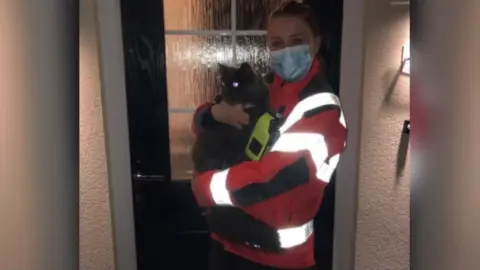 Cambs Fire and Rescue cat after being rescued
