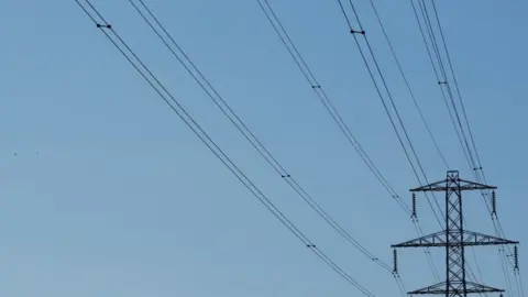 Andrew Boyers/Reuters Electricity pylon and wires