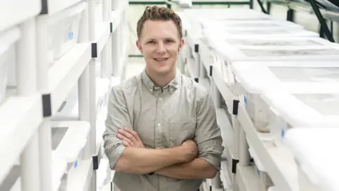 Peconic Escargot Taylor Knapp