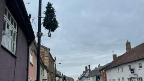 BBC Christmas tree on lamp-post