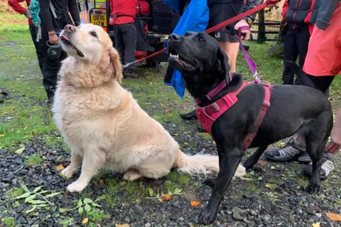 Keswick Mountain Rescue Team The dogs