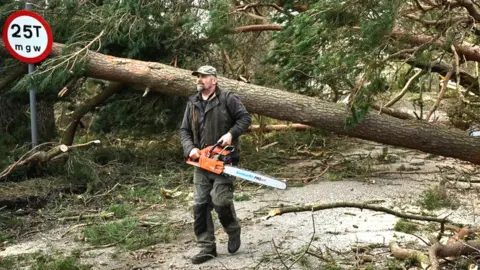 Trees down at Edzell