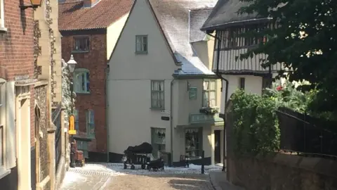 Mariam Issimdar Snow covered Elm Hill