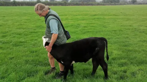 Jay Wilde Jay Wilde with one of his calves