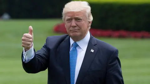 Getty Images US President Donald Trump gives a thumbs up at the White House in Washington, 19 May 2017