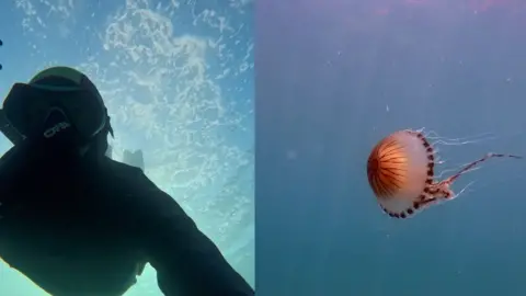 Side by side edit of a pink jellyfish in the ocean on the right hand side, and a photograph of a freediver just below the shore on the left hand side.