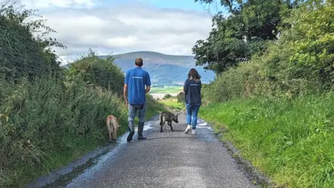 DGCRC Dog walking