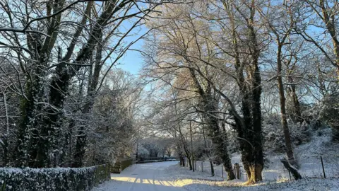 A county lane surrounded by trees after it has snowed. Blue sky can be seen above the tree canopy. 