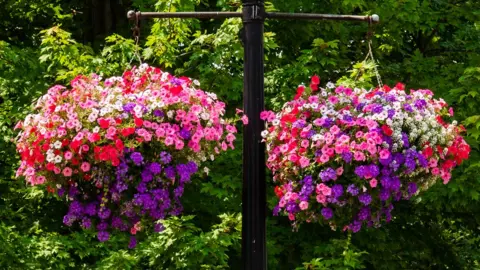Getty Images displays up on lampposts
