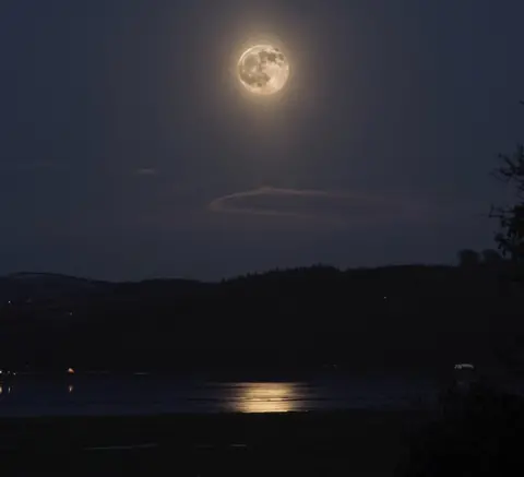 Helena Cochrane Wigtown Bay