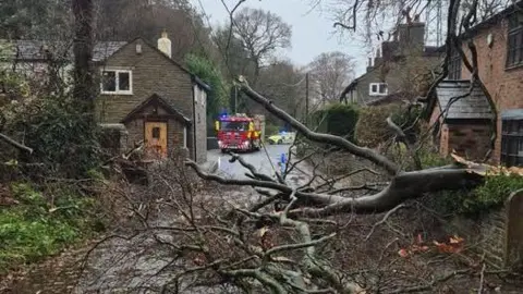 Cheshire Fire and Rescue Service A fallen tree draped across the narrow Clarke Lane. A garden wall has been destroyed. At the end of the road is a fire engine.