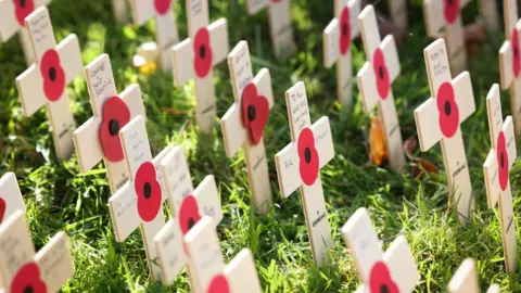 Matt Alexander Remembrance Poppies