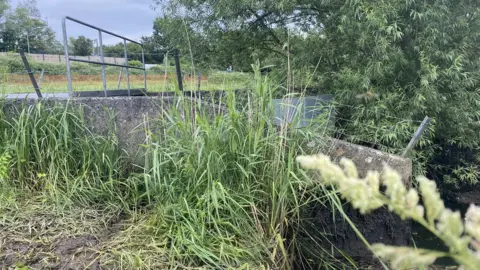 Howard Taylor Interceptor at Testwood