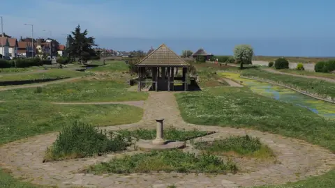 Ali Hall Venetian Waterways gardens