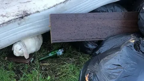 Nottinghamshire Police Rabbit found among rubbish