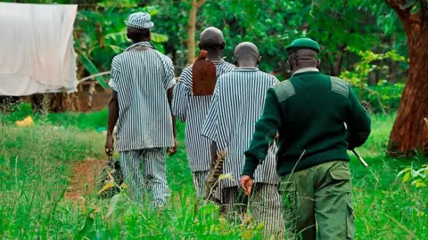 AFP Kenya. Nairobi. Kamiti Village. Prisoner Going To Work